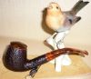 Savinelli_Rustic_Tortuga_602.jpg